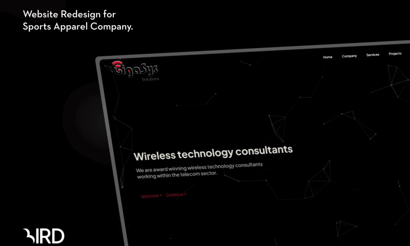 Bird Marketing - GigaSys Solutions Website Design for Telecommunications Company.