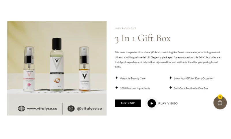 Website Design and Development