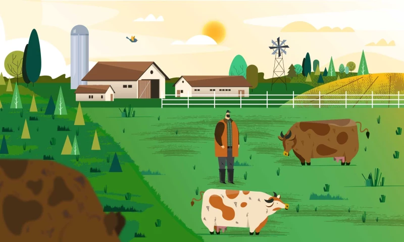 WonderBloom - TV Promo Ferma Brand