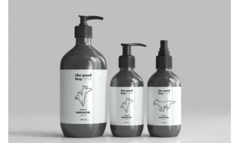 Andrea Ayensa - The Good Boy