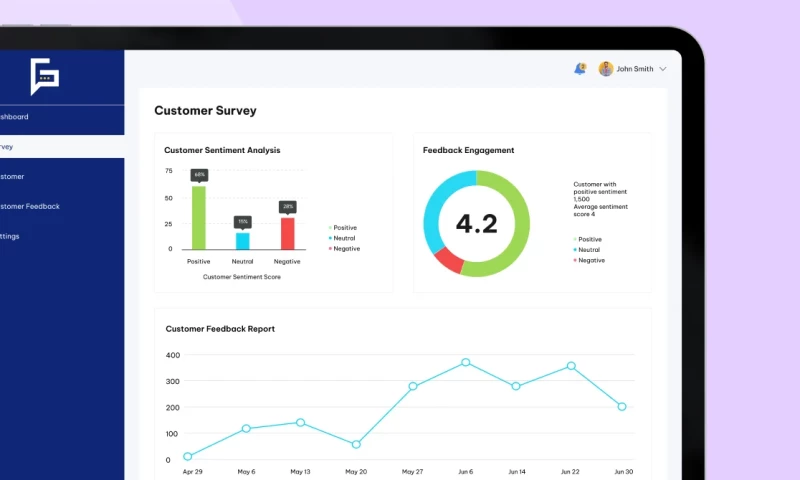 Vrinsoft UK - NLP Customer Feedback