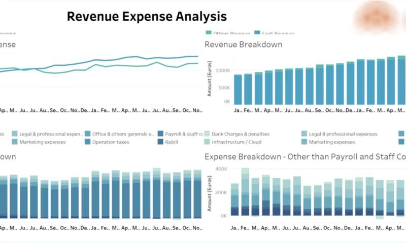Vidi Corp LTD - Financial Analysis of a Service Company