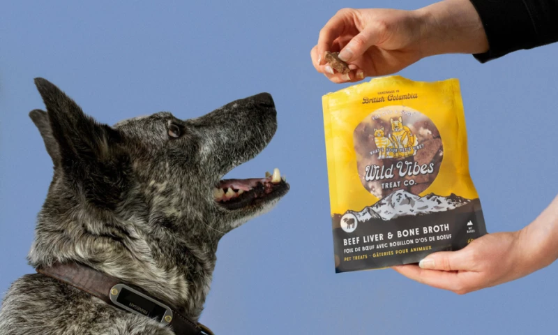 Colton Floris - Wild Vibes Treat Co.