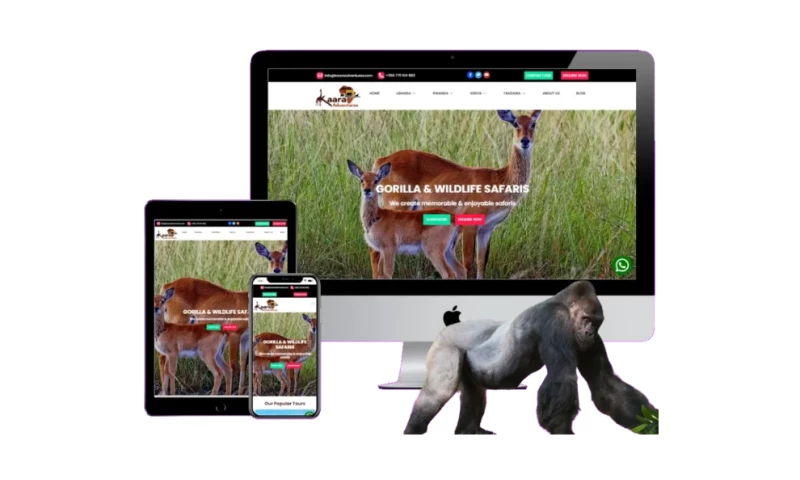 256Web Design - Kaara Adventures