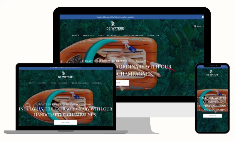 eCommerce Today - DE-WATERE.COM