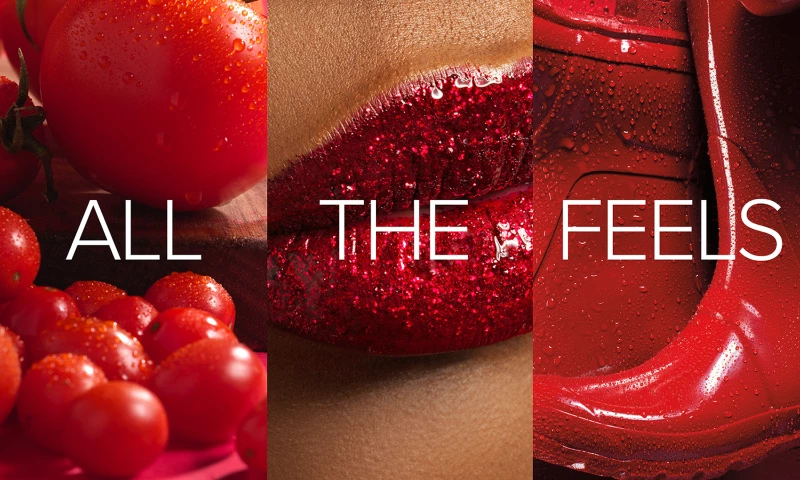 Willoughby Design - GGP All the Feels Campaign