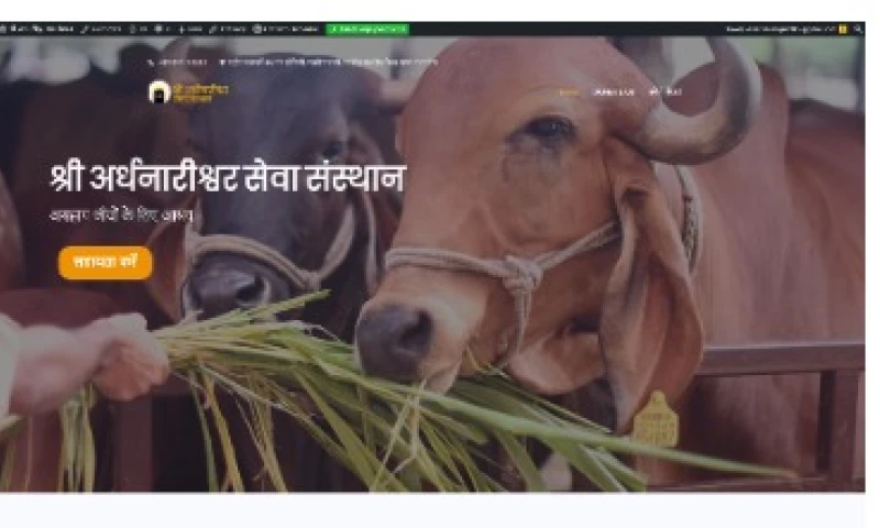 Essense Designs - WEB DESIGN AND DEVELOPMENT