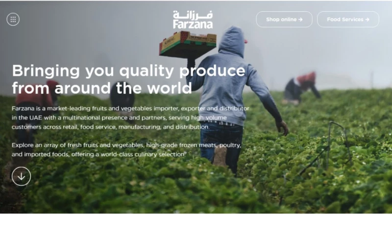 WiseTech Systems LLC - Farzana.com