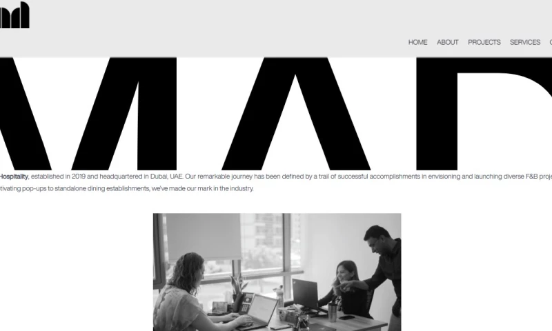 WiseTech Systems LLC - Wearemad.co