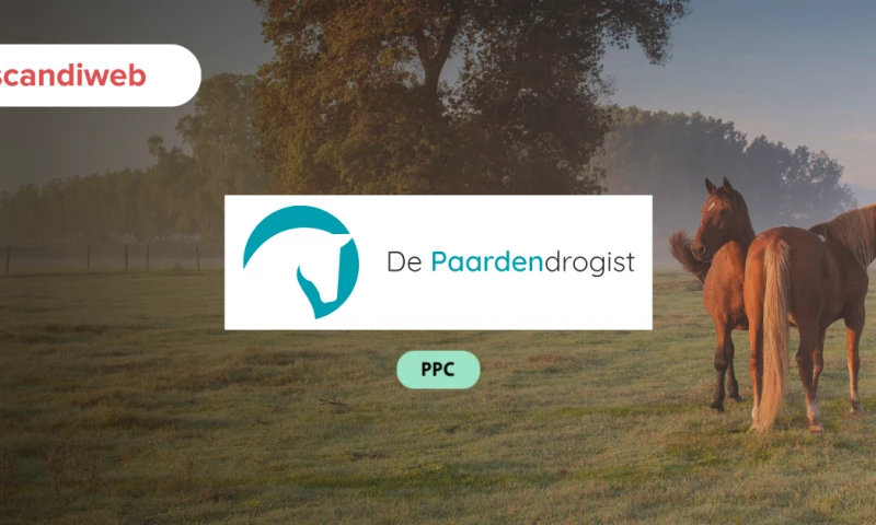 Meta Ads Restructure Yields 111% Revenue Growth for De Paardendrogist