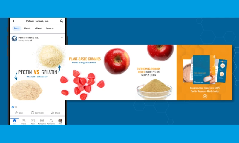 Palmer Holland: Marketing an Extensive Portfolio