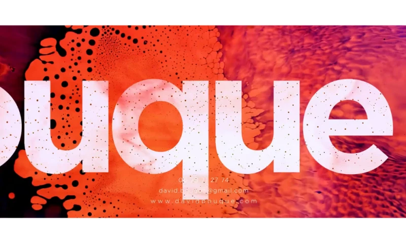 David Bouque - SHOWREEL_Motion 2021