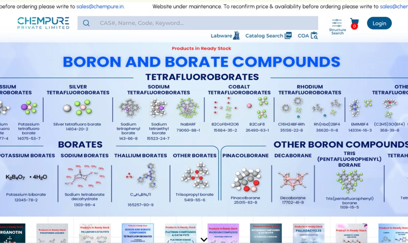 Kyurius Tech Studios - Custom ERP Development & Website Development