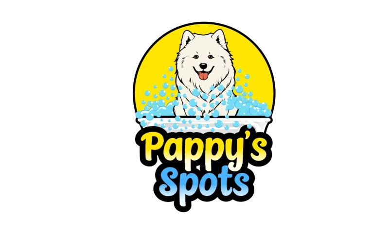 Digital Elliptical - Pappy's Spots