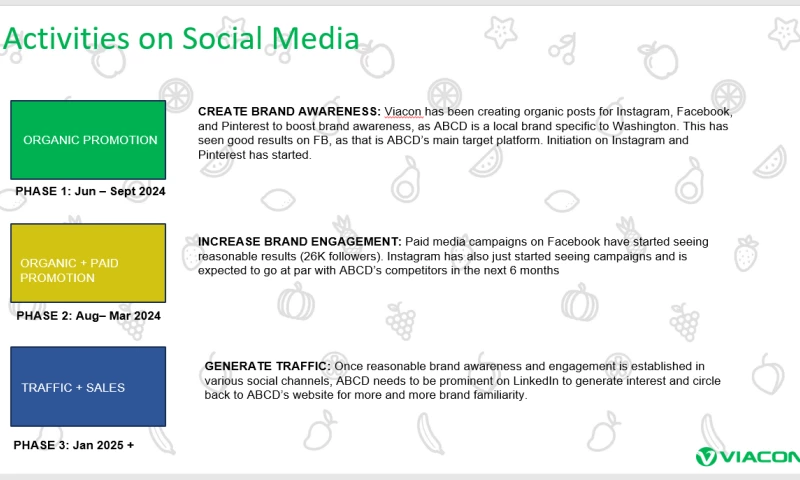 Social Media Marketing for Fruit Juice Brand
