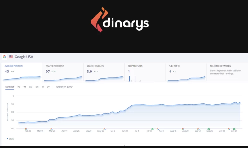 SEO Promotion of Dinarys Company