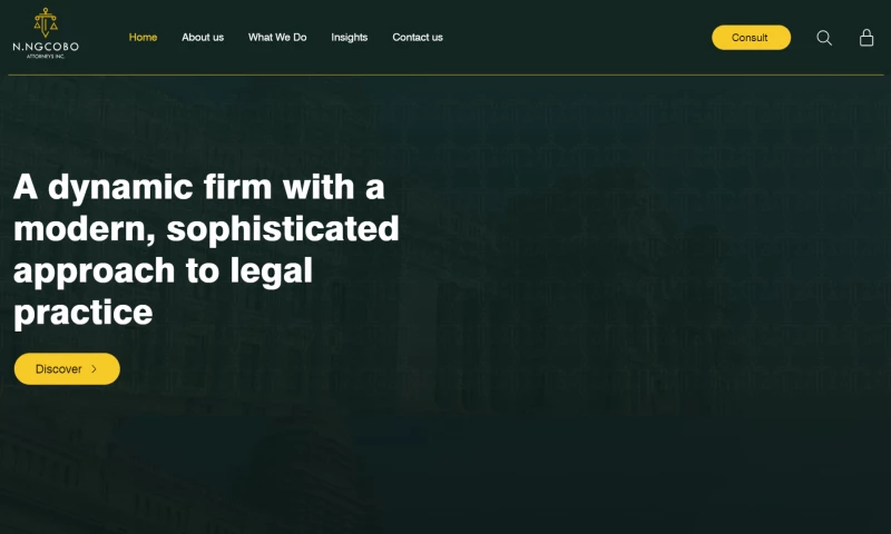 Establishing NNA Inc. from Scratch in 45 Days