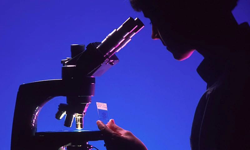 AI R&D Assistant For Merck