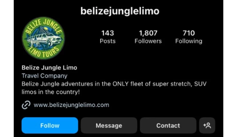 Social and Search Marketing