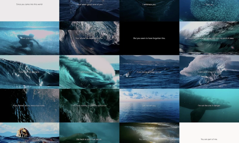 Film for the 2022 United Nations Ocean Conference