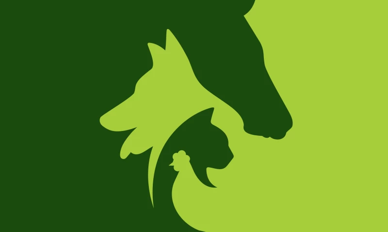 Corporate Rebrand for Compana Pet Brands