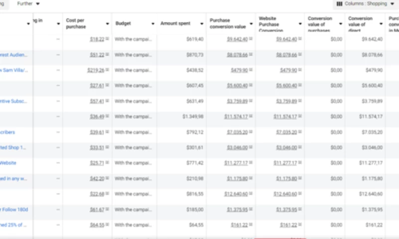 Maximizing Sales: A Black Friday Success Story
