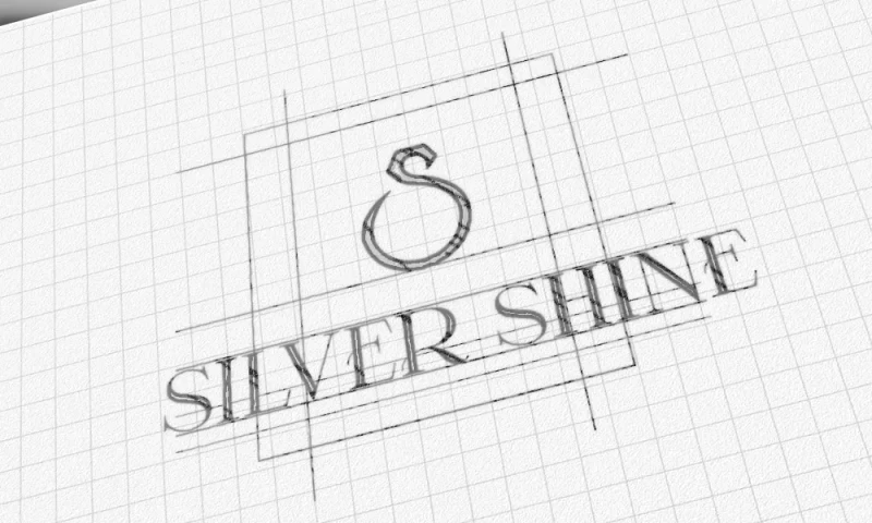 Ecompapi - Silver Shine