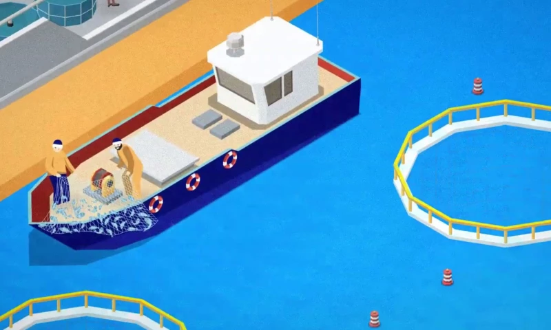 Motionify - Explainer Video