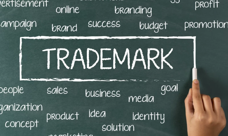 Brandrisic Media Pvt Ltd - SEO & Content Marketing for Legal Service provider