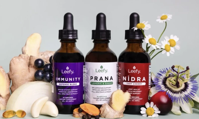 Trivium Group - Leefy