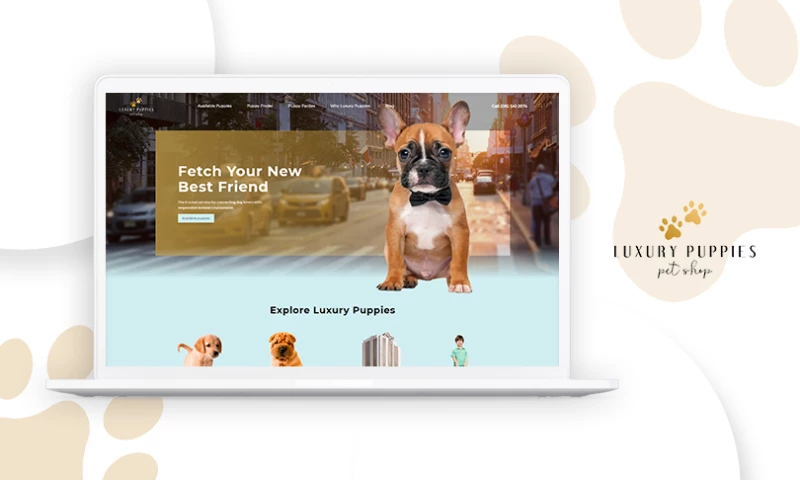 MAXBURST - Luxury Puppies