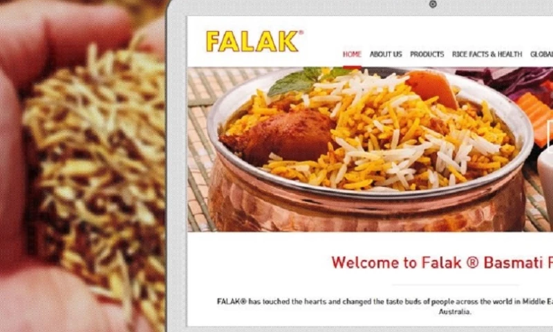 Interactive Media - Falak Rice