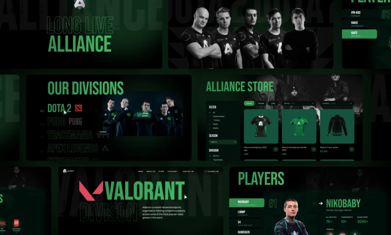 Hexagon Agency - Alliance Esports Team Website