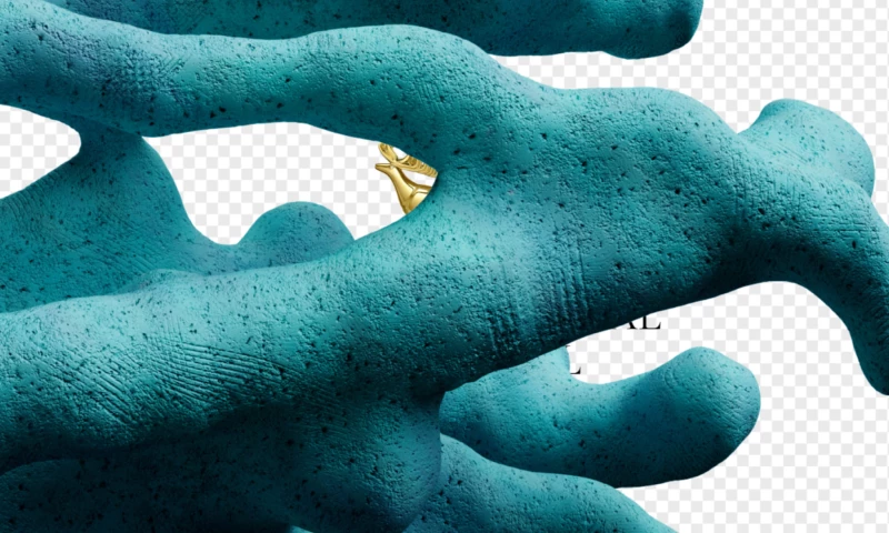 Hexagon Agency - 51st Molodist KIFF Visual Identity