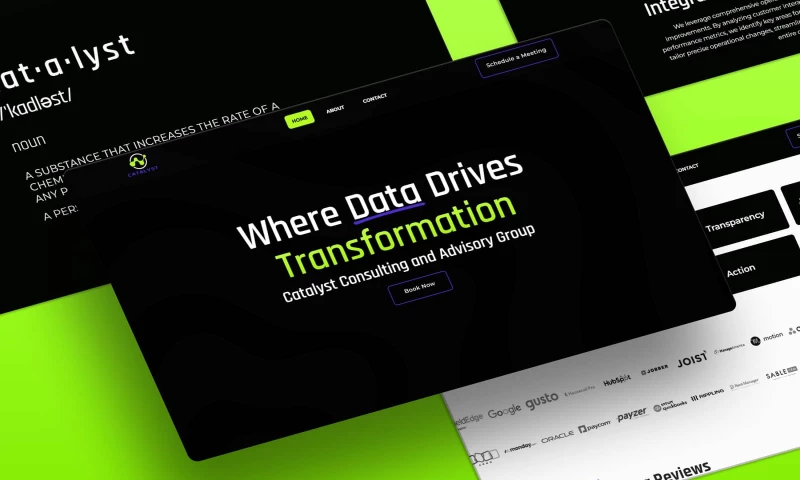 Catalyst Consulting Website