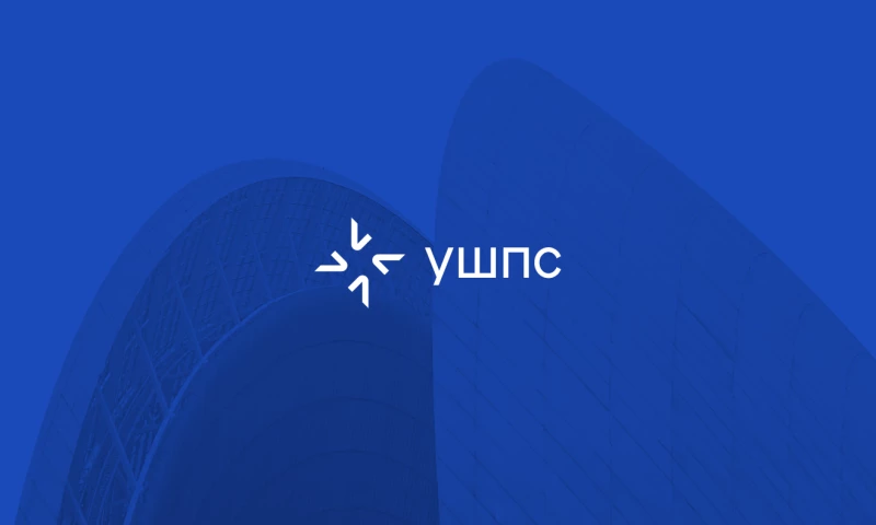 Ukrainian School of Political Studies Brand Identity