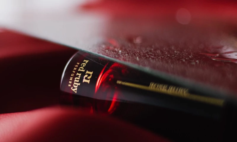 Digital Adastra - WEB, BRANDING