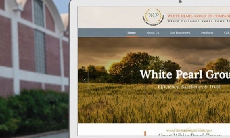 Interactive Media - White Pearl Group