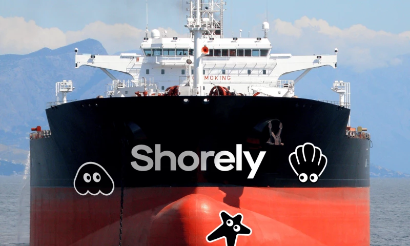 Hexagon Agency - Shorely Branding Design