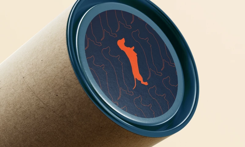 Fairground Studio - Freedom Field