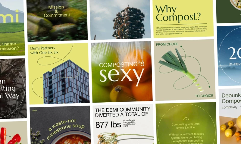 Bolder Agency - Demi Social Media Marketing