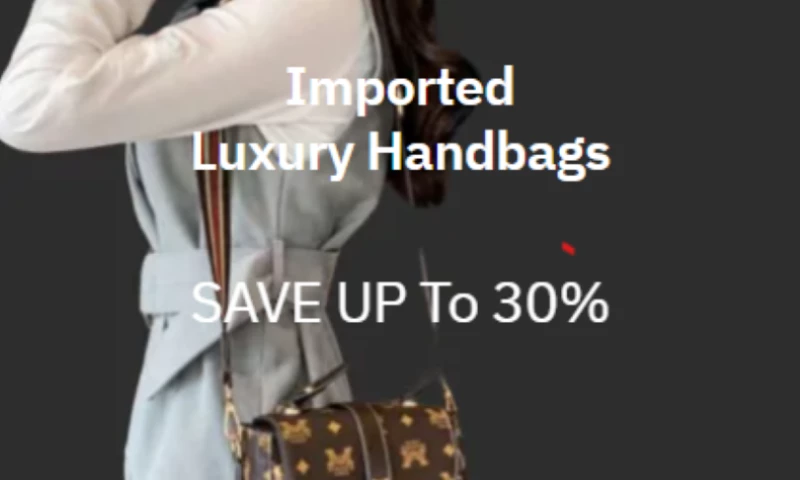 Local Rankies - Women Handsbag