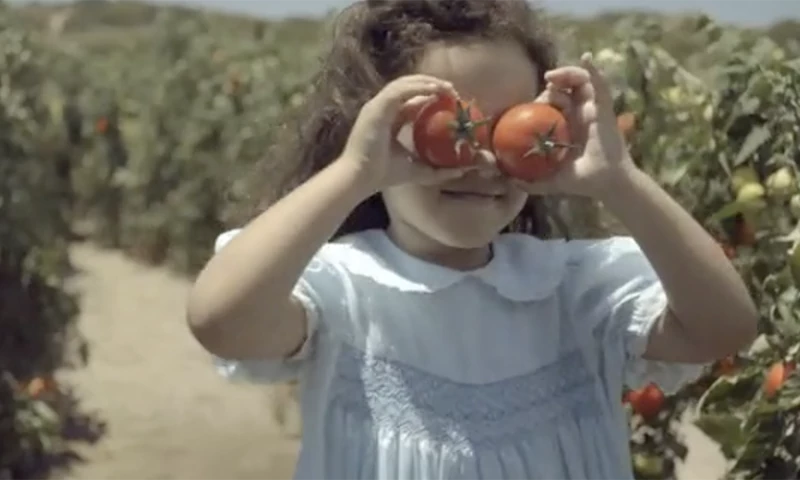 JoyFilms - McDonald's