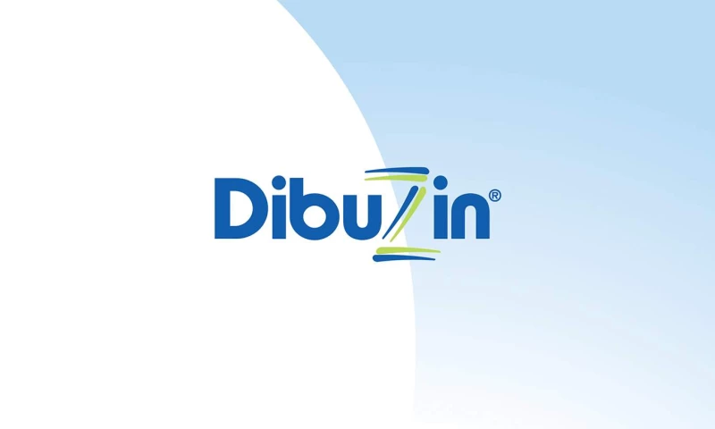 Content & Concept - Dibuzin