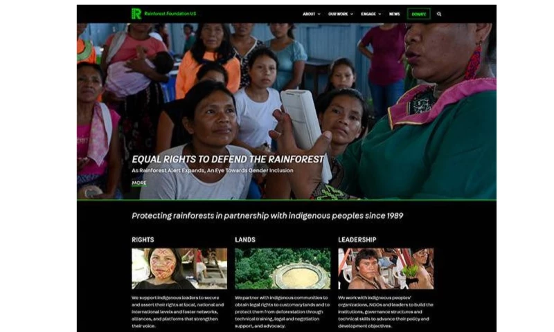 Faazweb - RainForest Foundation