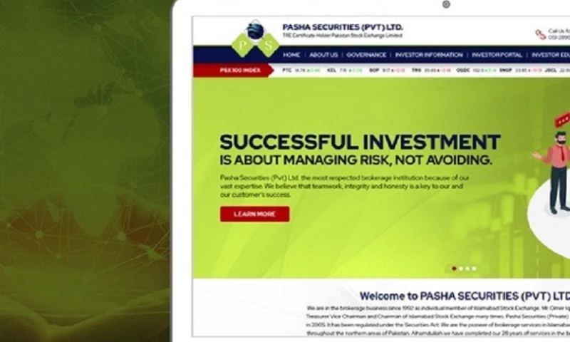 Interactive Media - Pasha Securities