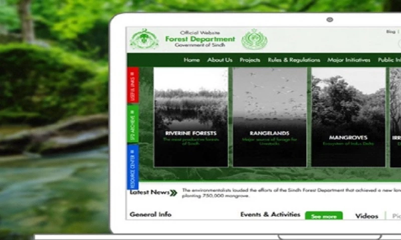 Interactive Media - Sindh Forest