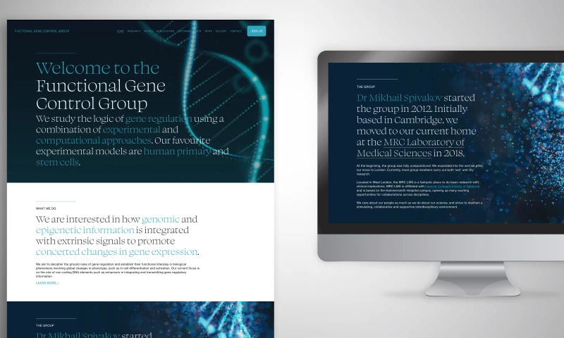 Website design for gene regulation research group