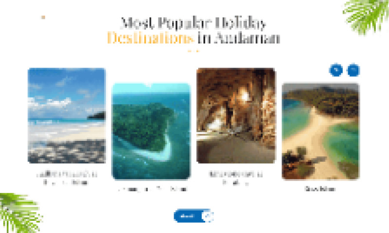 Websesta - Travel Website Development