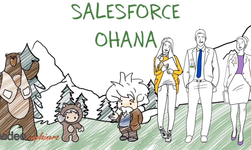 SalesForce Whiteboard Explainer Video